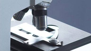 破碎机械的主要工作原理